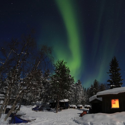 Husky Winter Traum in Lappland 